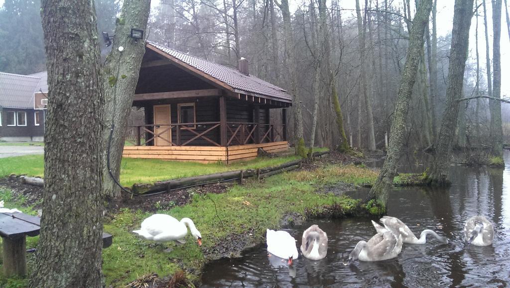 Poilsio Baze Pension Latežeris Buitenkant foto