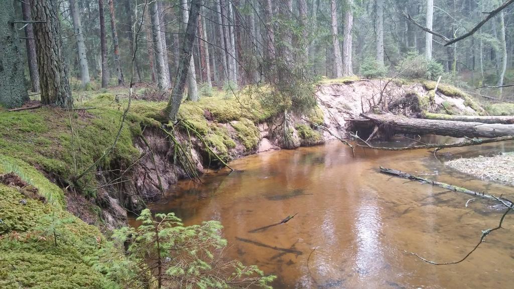 Poilsio Baze Pension Latežeris Buitenkant foto